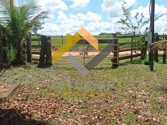 #31 - Chácara para Venda em São José do Rio Preto - SP - 1